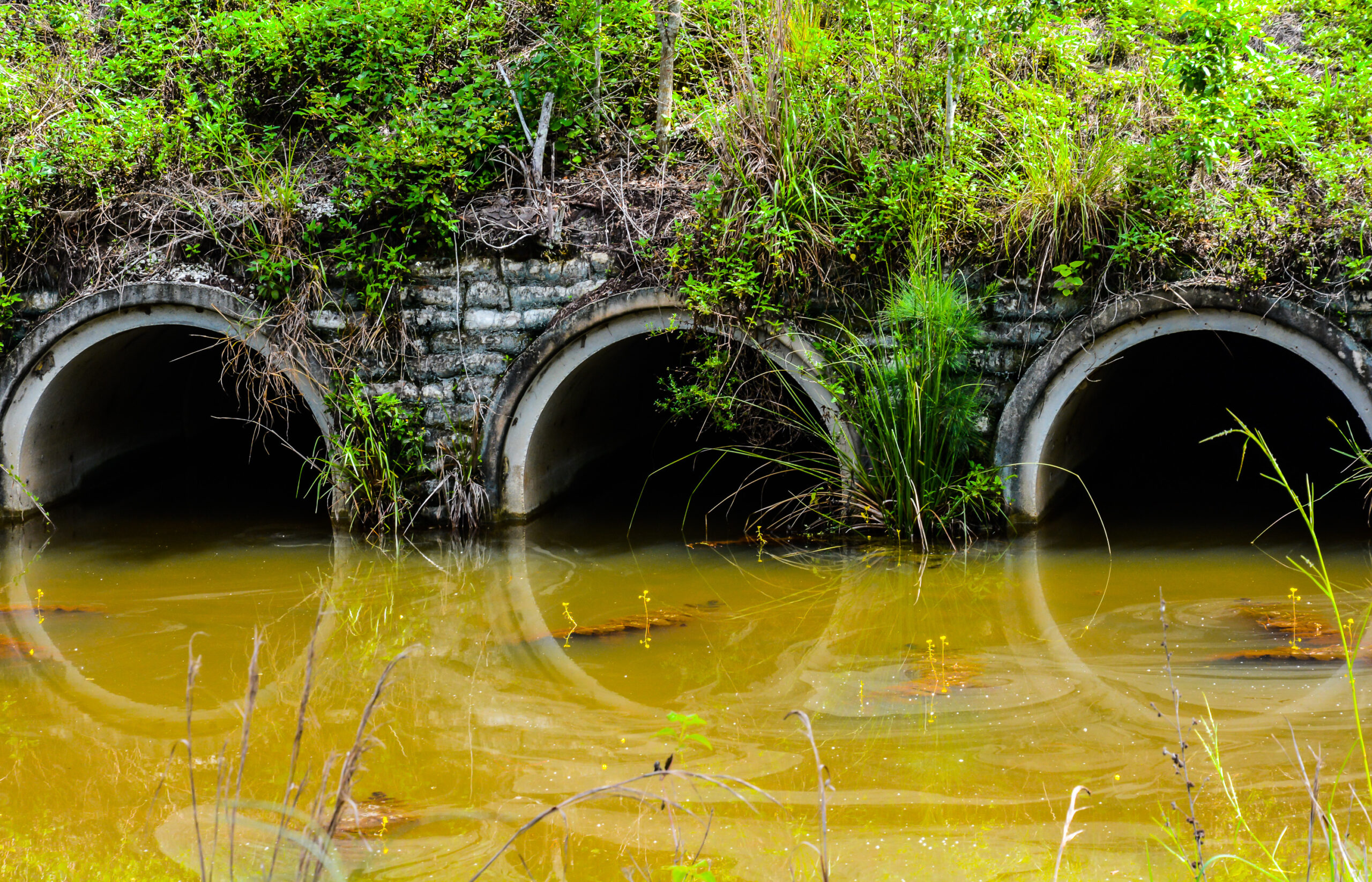 Gestion des eaux pluviales industrielles