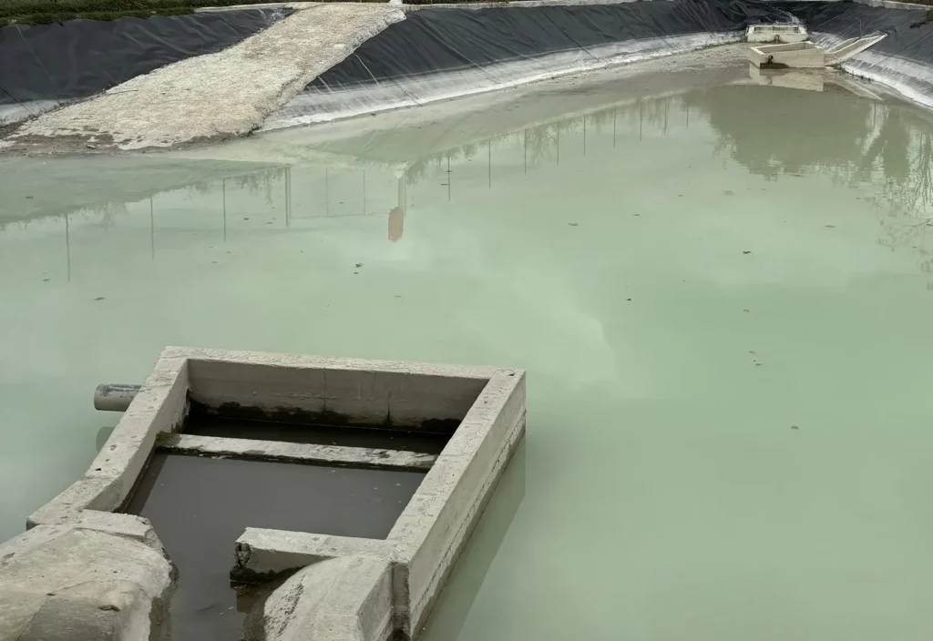 Bassin de décantation avec ouvrage de sortie en béton