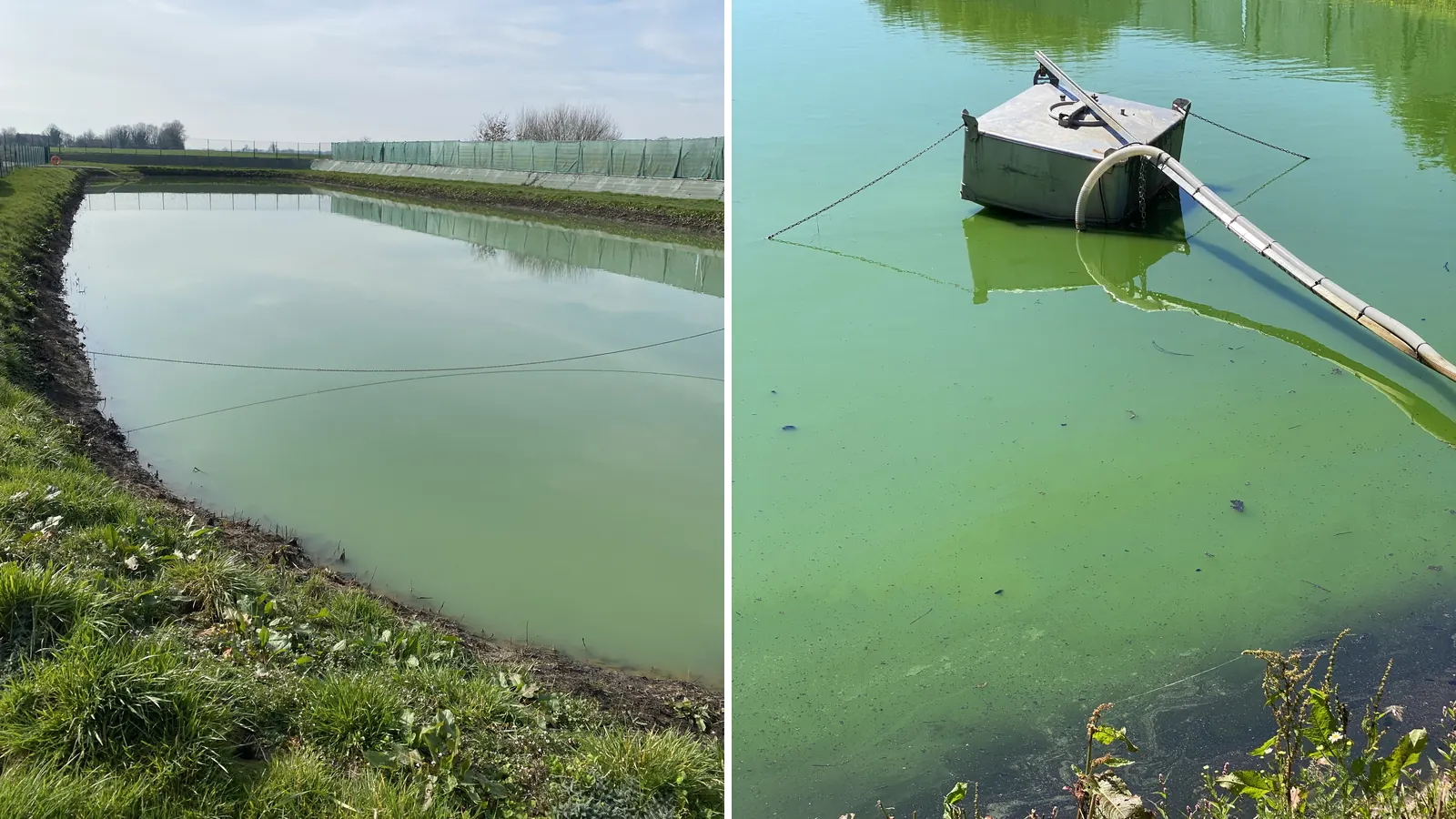 Bassin de décantation en terre de forme allongée et écrémeur flottant pour la reprise des eaux décantées